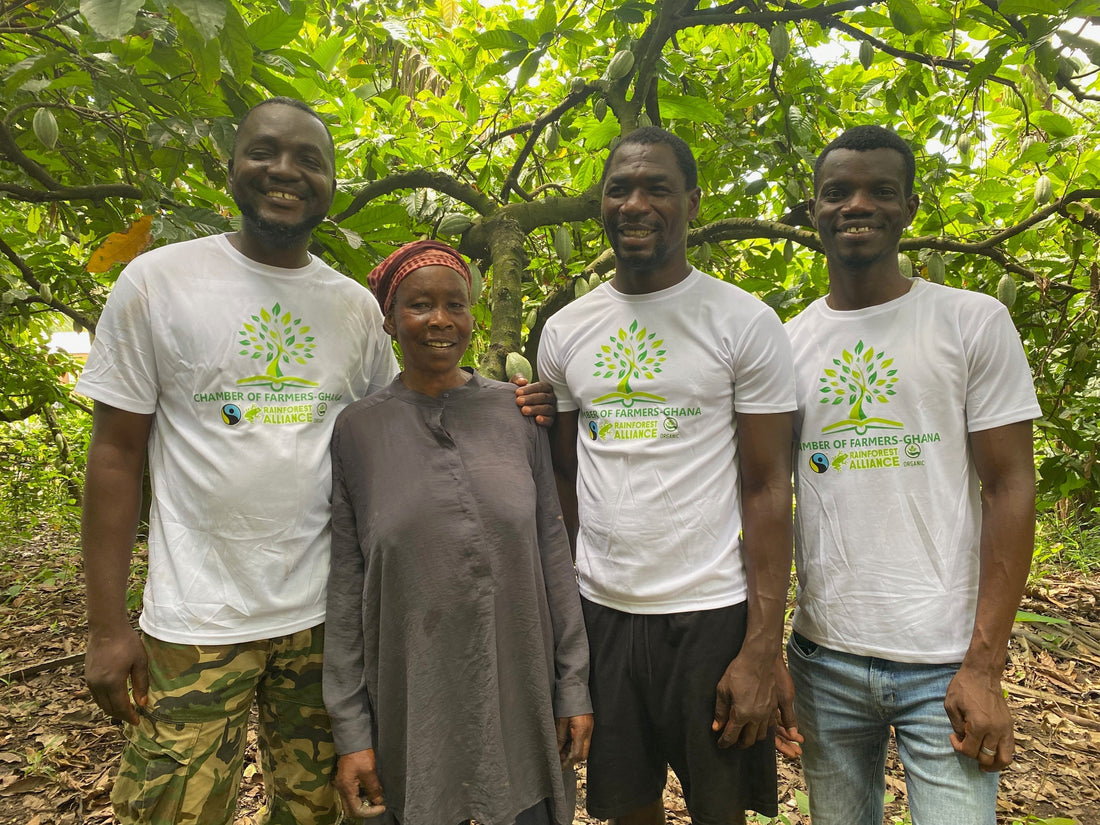 School Yard Kitchen reduces child labour in cocoa farms